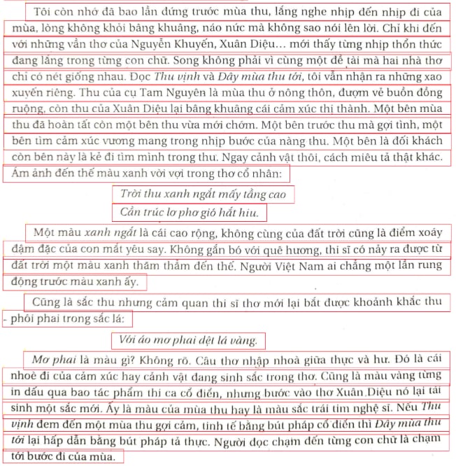 Merged line-level bounding boxes for VietOCR